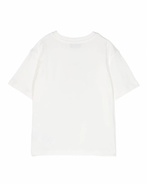  10063
